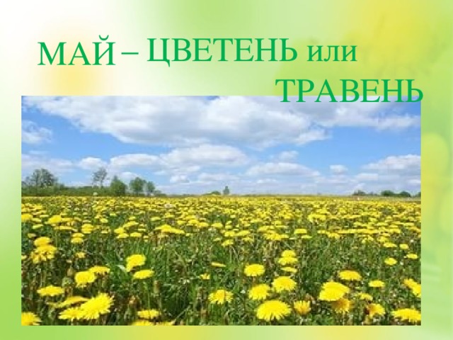 МАЙ – ЦВЕТЕНЬ или  ТРАВЕНЬ