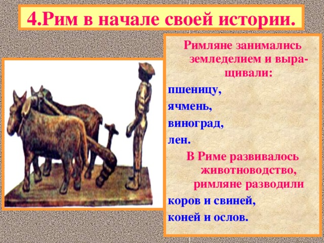 4.Рим в начале своей истории. Римляне занимались земледелием и выра-щивали: пшеницу, ячмень, виноград, лен. В Риме развивалось животноводство, римляне разводили коров и свиней, коней и ослов.