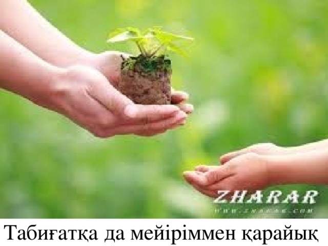 Табиғатқа да мейіріммен қарайық