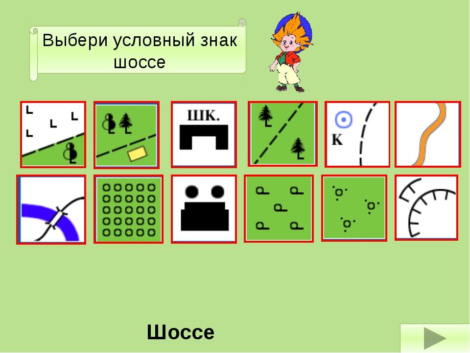 Хвойный лес план местности