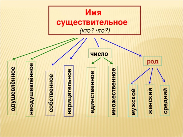 Работа имя существительное. Имя существительное одушевленное нарицательное в единственном числе. Существительное одушевлённое нарицательное в единственном числе. Имена собственные одушевленные. Одушевленное нарицательное существительное пример.