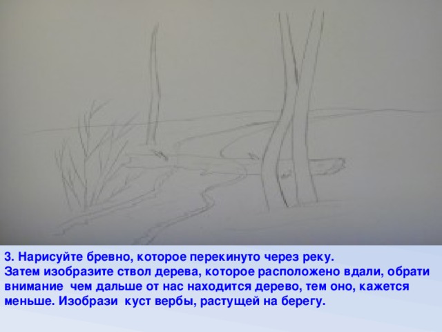 3. Нарисуйте бревно, которое перекинуто через реку. Затем изобразите ствол дерева, которое расположено вдали, обрати внимание чем дальше от нас находится дерево, тем оно, кажется меньше. Изобрази куст вербы, растущей на берегу.