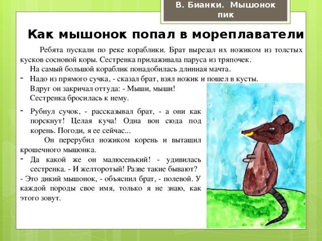 В. Бианки. Мышонок пик Как мышонок попал в мореплаватели  Ребята пускали по реке кораблики. Брат вырезал их ножиком из толстых кусков сосновой коры. Сестренка прилаживала паруса из тряпочек.  На самый большой кораблик понадобилась длинная мачта. Надо из прямого сучка, - сказал брат, взял ножик и пошел в кусты.  Вдруг он закричал оттуда: - Мыши, мыши!  Сестренка бросилась к нему. Рубнул сучок, - рассказывал брат, - а они как порскнут! Целая куча! Одна вон сюда под корень. Погоди, я ее сейчас...  Он перерубил ножиком корень и вытащил крошечного мышонка. Да какой же он малюсенький! - удивилась сестренка. - И желторотый! Разве такие бывают? - Это дикий мышонок, - объяснил брат, - полевой. У каждой породы свое имя, только я не знаю, как этого зовут.