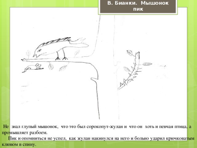 В. Бианки. Мышонок пик  Не знал глупый мышонок, что это был сорокопут-жулан и что он хоть и певчая птица, а промышляет разбоем.  Пик и опомниться не успел, как жулан накинулся на него и больно ударил крючковатым клювом в спину.