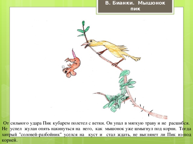 В. Бианки. Мышонок пик  От сильного удара Пик кубарем полетел с ветки. Он упал в мягкую траву и не расшибся. Не успел жулан опять накинуться на него, как мышонок уже шмыгнул под корни. Тогда хитрый 