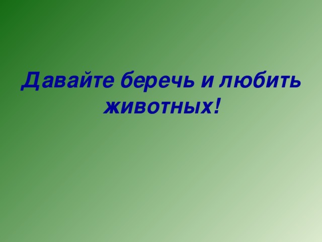 Давай беречь. Надпись берегите животных. Давайте беречь и любить животных. Берегите и любите животных. Берегите животных надпись красивая.