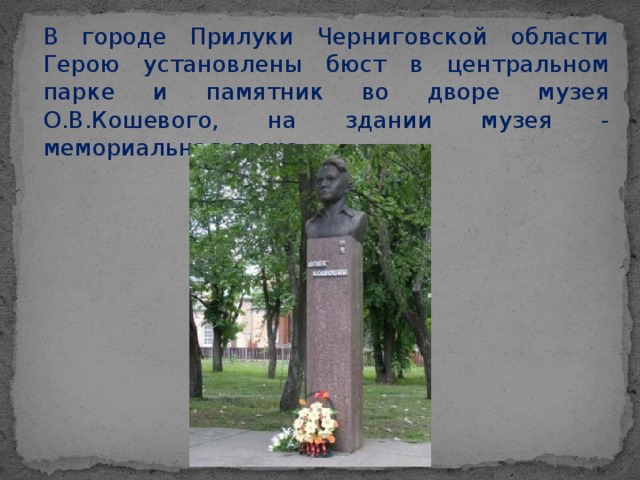 В городе Прилуки Черниговской области Герою установлены бюст в центральном парке и памятник во дворе музея О.В.Кошевого, на здании музея - мемориальная доска.