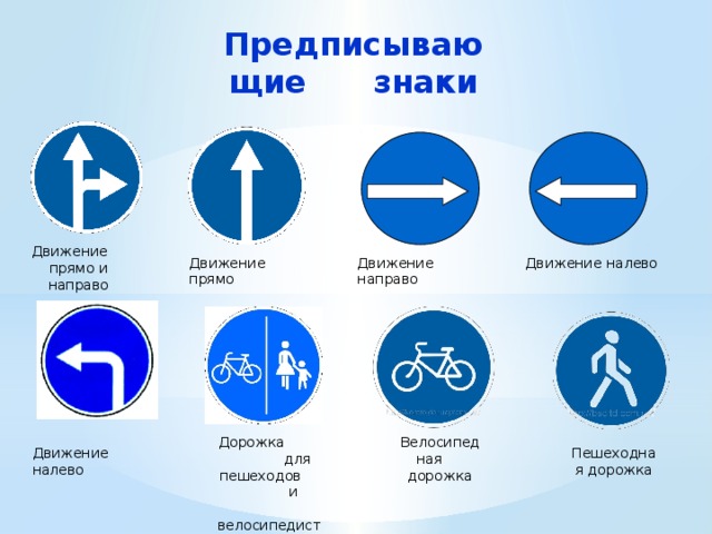 Предписывающие знаки Движение прямо и направо Движение налево Движение направо Движение прямо Велосипедная дорожка Дорожка для пешеходов и велосипедистов Пешеходная дорожка Движение налево