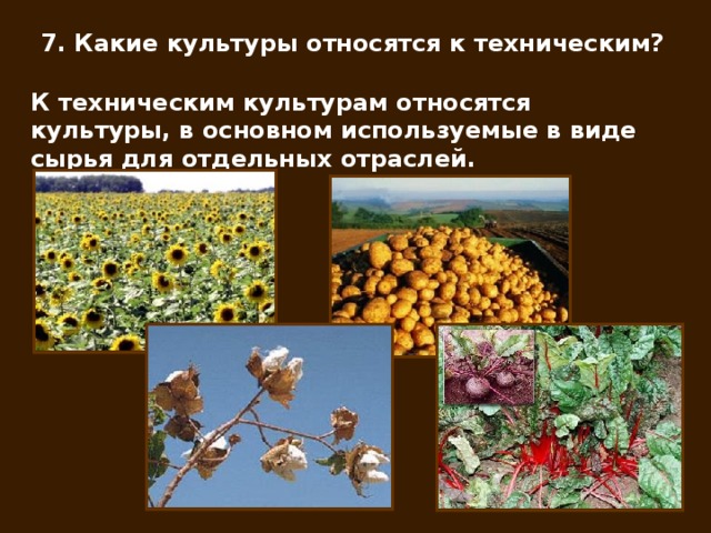 Основные культуры выращиваемые в ростовской области