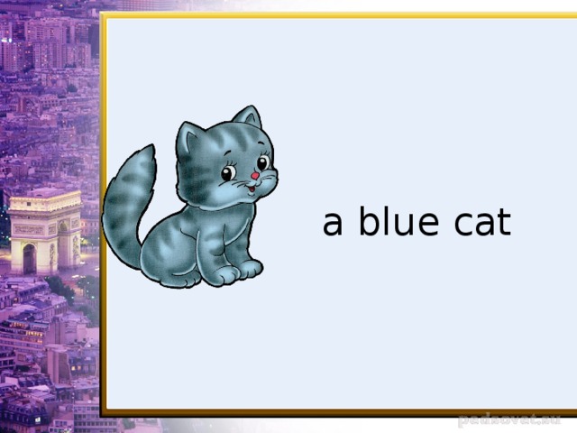 a blue cat
