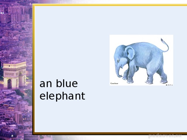 an blue elephant
