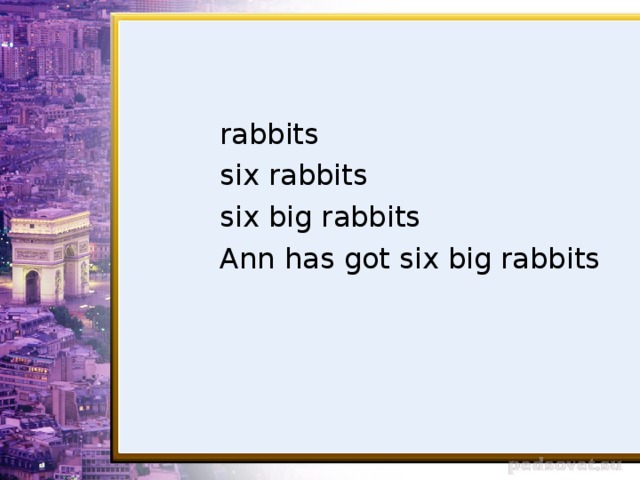 rabbits  six rabbits  six big rabbits  Ann has got six big rabbits