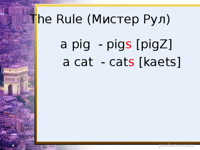 The Rule ( Мистер Рул )  a pig - pig s [pigZ]  a cat - cat s [kaets]