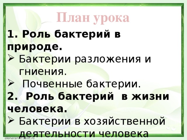 План урока 1. Роль бактерий в природе. Бактерии разложения и гниения.  Почвенные бактерии. 2. Роль бактерий в жизни человека.