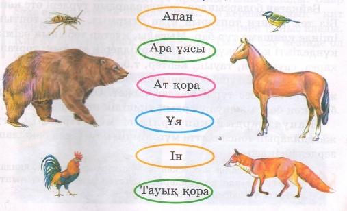 Жануарлар систематика презентация