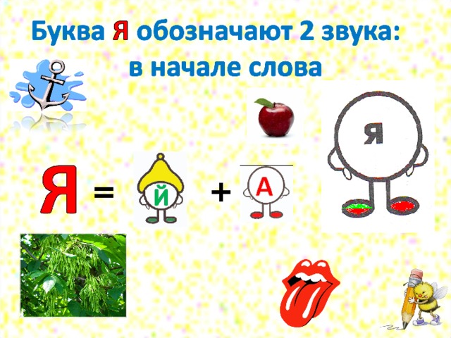 Буква я обозначает 2. Звук и буква я. Буква я звук я. Схема буквы я. Звук я в начале слова.