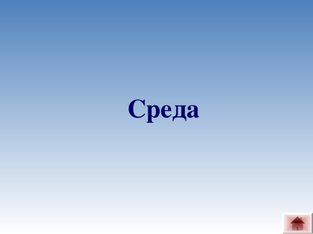 Среда