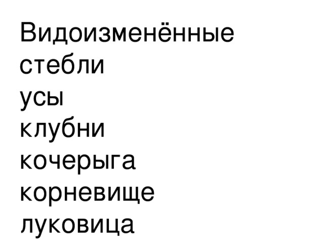 Видоизменённые стебли  усы  клубни  кочерыга  корневище  луковица