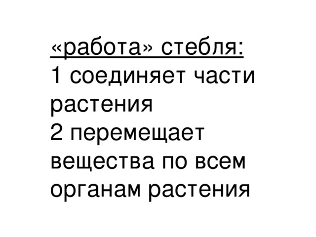 «работа» стебля:  1 соединяет части  растения  2 перемещает вещества по всем органам растения