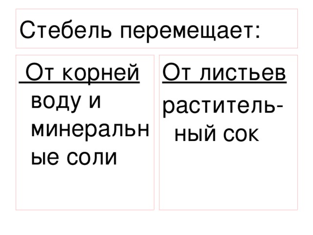 Стебель перемещает:  От корней воду и минеральные соли От листьев раститель-ный сок