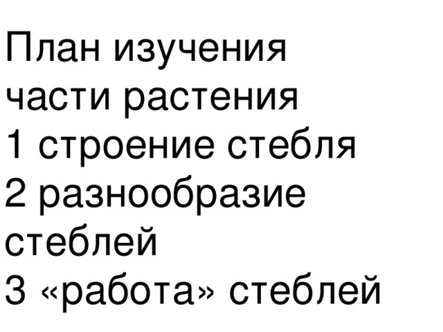 План изучения  части растения  1 строение стебля  2 разнообразие стеблей  3 «работа» стеблей