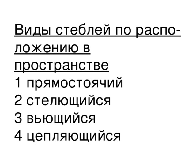 Виды стеблей по распо-  ложению в пространстве  1 прямостоячий  2 стелющийся  3 вьющийся  4 цепляющийся