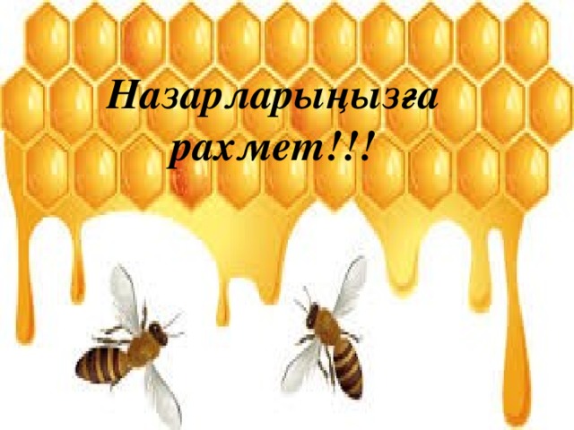 Назарларыңызға рахмет!!!