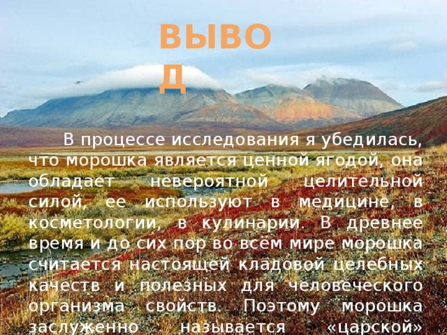 Вывод  В процессе исследования я убедилась, что морошка является ценной ягодой, она обладает невероятной целительной силой, ее используют в медицине, в косметологии, в кулинарии. В древнее время и до сих пор во всём мире морошка считается настоящей кладовой целебных качеств и полезных для человеческого организма свойств. Поэтому морошка заслуженно называется «царской» ягодой.