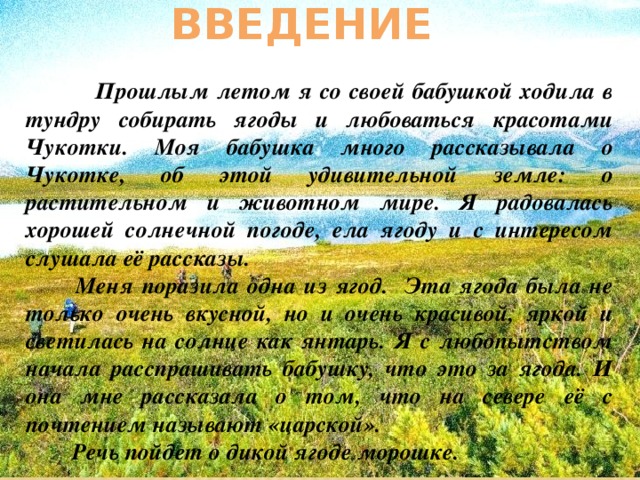 Введение    Прошлым летом я со своей бабушкой ходила в тундру собирать ягоды и любоваться красотами Чукотки. Моя бабушка много рассказывала о Чукотке, об этой удивительной земле: о растительном и животном мире. Я радовалась хорошей солнечной погоде, ела ягоду и с интересом слушала её рассказы.  Меня поразила одна из ягод. Эта ягода была не только очень вкусной, но и очень красивой, яркой и светилась на солнце как янтарь. Я с любопытством начала расспрашивать бабушку, что это за ягода. И она мне рассказала о том, что на севере её с почтением называют «царской».  Речь пойдет о дикой ягоде морошке.