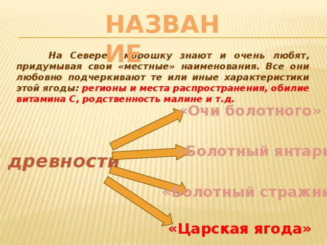 Название  На Севере морошку знают и очень любят, придумывая свои «местные» наименования. Все они любовно подчеркивают те или иные характеристики этой ягоды: регионы и места распространения, обилие витамина С, родственность малине и т.д. «Очи болотного»  В древности «Болотный янтарь» «Болотный стражник» «Царская ягода»