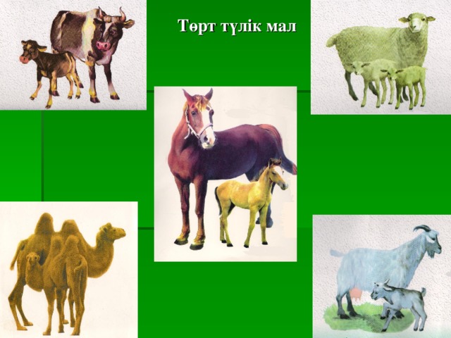 Төрт түлік мал Төрт түлік мал