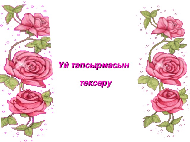 Үй тапсырмасын  тексеру