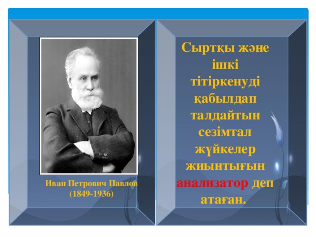 Сыртқы және ішкі тітіркенуді қабылдап талдайтын сезімтал жүйкелер жиынтығын анализатор деп атаған. Иван Петрович Павлов (1849-1936)