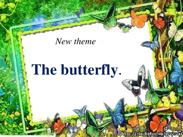 New theme  The butterfly .