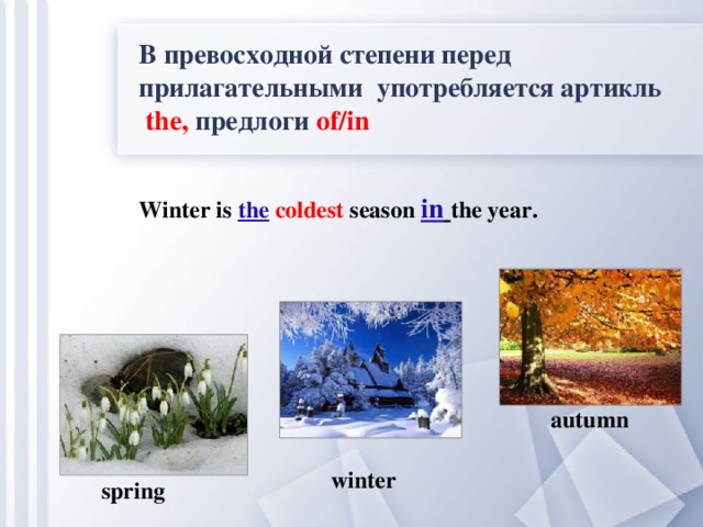 В превосходной степени перед прилагательными употребляется артикль thе, предлоги of/in Winter is the  coldest season in  the year. autumn winter  spring
