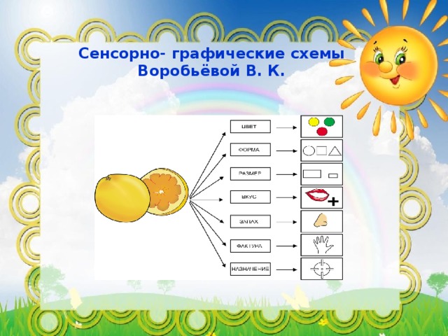 Сенсорно- графические схемы Воробьёвой В. К.