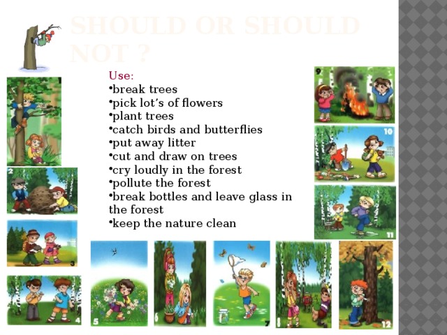 Should or should not ? Use: break trees pick lot’s of flowers plant trees catch birds and butterflies put away litter cut and draw on trees cry loudly in the forest pollute the forest break bottles and leave glass in the forest keep the nature clean