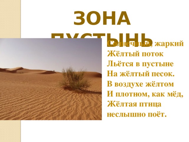 Зона пустынь 4 класс. Солнечный жаркий желтый поток льется в пустыне. Зона пустынь суслики данные в зоне пустынь. Желтый песок текст. Зона пустынь 4 класс л.п.Фокина.