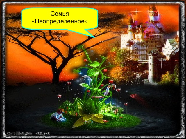 Семья «Неопределенное»