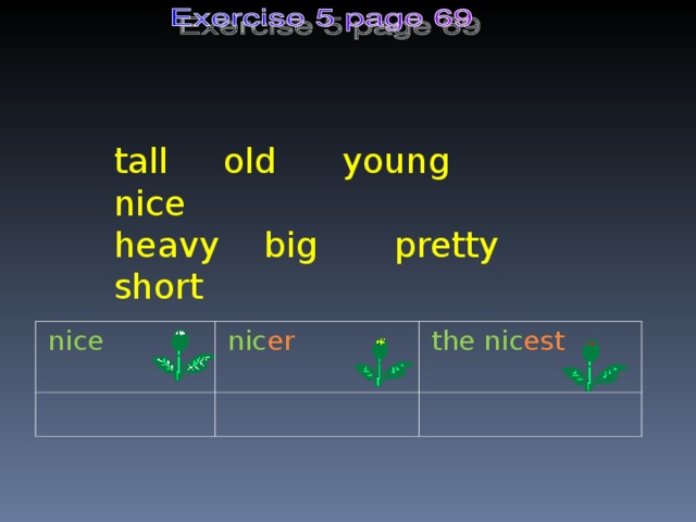 tall old young nice heavy big pretty short nice nic er the nic est