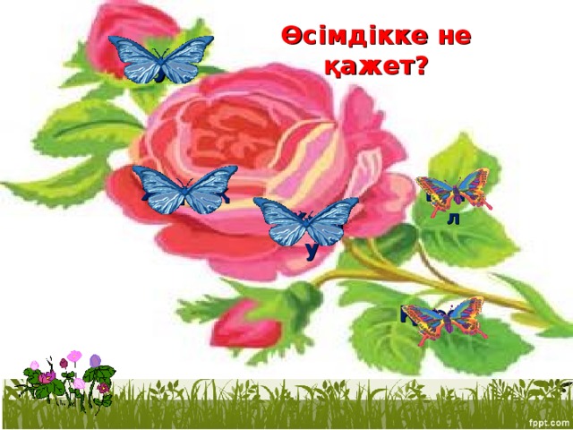 Өсімдікке не қажет? Ауа жарық Ылғал Жылу Қорек