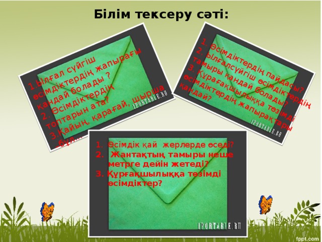 1.Ылғал сүйгіш өсімдіктердің жапырағы қандай болады ?  2. Өсімдіктердің топтарын ата? 3.Қайың, қарағай, шырша –бұл... 1. Өсімдіктердің пайдасы?  2. Ылғалсүйгіш өсімдіктердің тамыры қандай болады?  3. Құрағақшылыққа төзімді өсімдіктердің жапырақтары қандай?   Білім тексеру сәті: Өсімдік қай жерлерде өседі?  Жантақтың тамыры неше метрге дейін жетеді? 3. Құрғақшылыққа төзімді өсімдіктер?