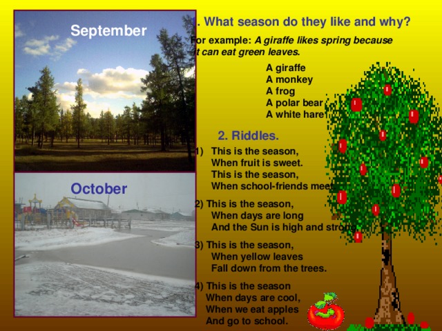 1. What season do they like and why? For example: A giraffe likes spring because  it can eat green leaves. September A giraffe A monkey A frog A polar bear A white hare 2. Riddles.  This is the season,  When fruit is sweet.  This is the season,  When school-friends meet.  2) This is the season,  When days are long  And the Sun is high and strong.  3) This is the season,  When yellow leaves  Fall down from the trees.  4) This is the season  When days are cool,  When we eat apples  And go to school.  October