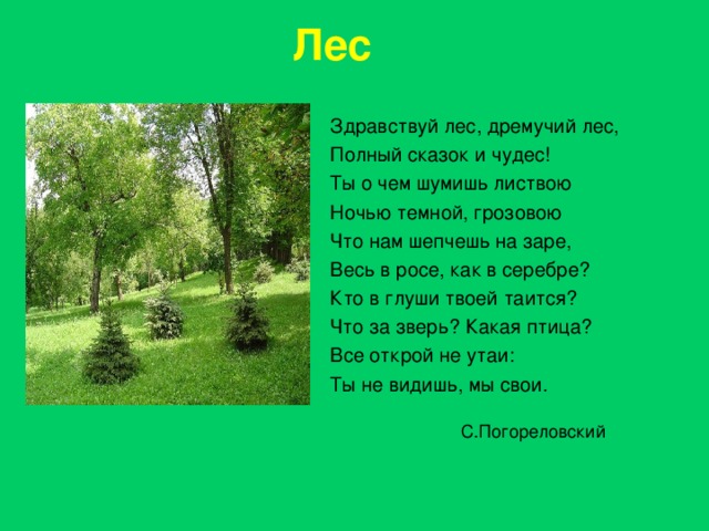 Лес Здравствуй лес, дремучий лес, Полный сказок и чудес! Ты о чем шумишь листвою Ночью темной, грозовою Что нам шепчешь на заре, Весь в росе, как в серебре? Кто в глуши твоей таится? Что за зверь? Какая птица? Все открой не утаи: Ты не видишь, мы свои. Здравствуй лес, дремучий лес, Полный сказок и чудес! Ты о чем шумишь листвою Ночью темной, грозовою Что нам шепчешь на заре, Весь в росе, как в серебре? Кто в глуши твоей таится? Что за зверь? Какая птица? Все открой не утаи: Ты не видишь, мы свои. С.Погореловский