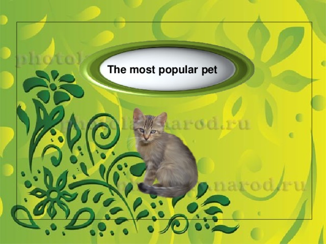 The most popular pet