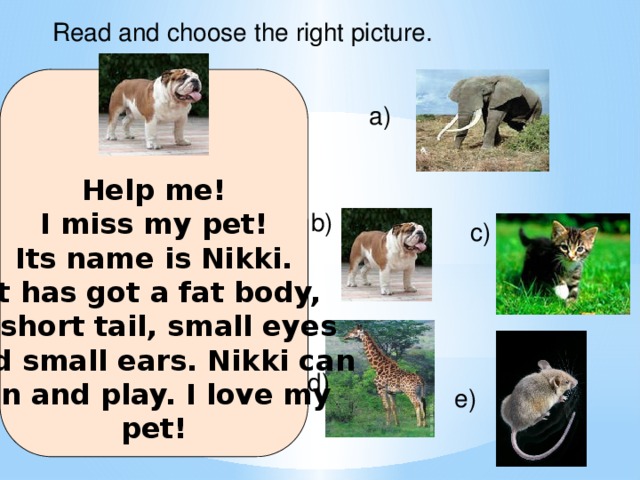 Read and choose the right picture. Help me! I miss my pet! Its name is Nikki. It has got a fat body, a short tail, small eyes and small ears. Nikki can run and play. I love my pet! a) b) c) d) e)