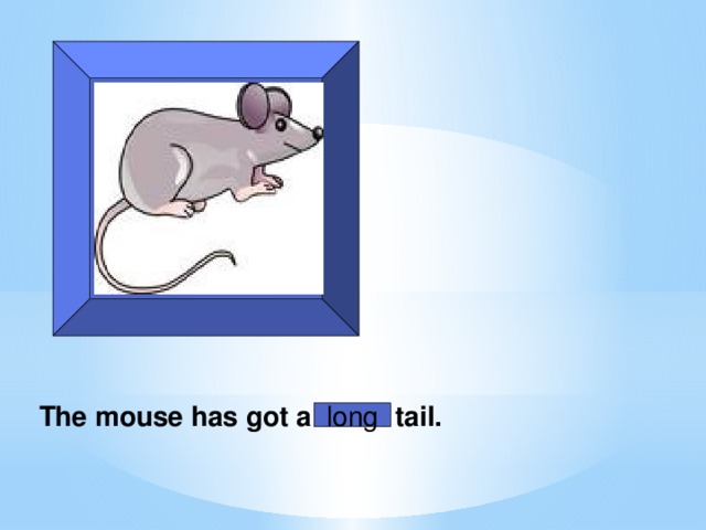 The mouse has got a short tail.  long