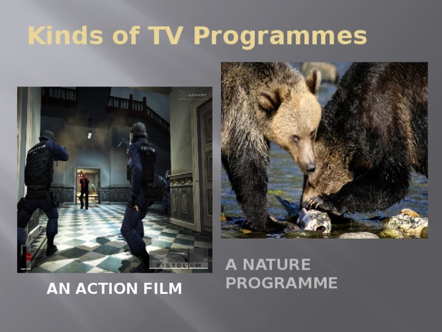 Kinds of TV Programmes A Nature programme An Action Film
