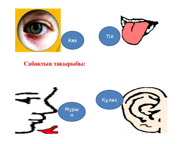 Көз жара. Көз т. Авылымда көз рисунки. Көз надпись. Көз сылуы картинка.