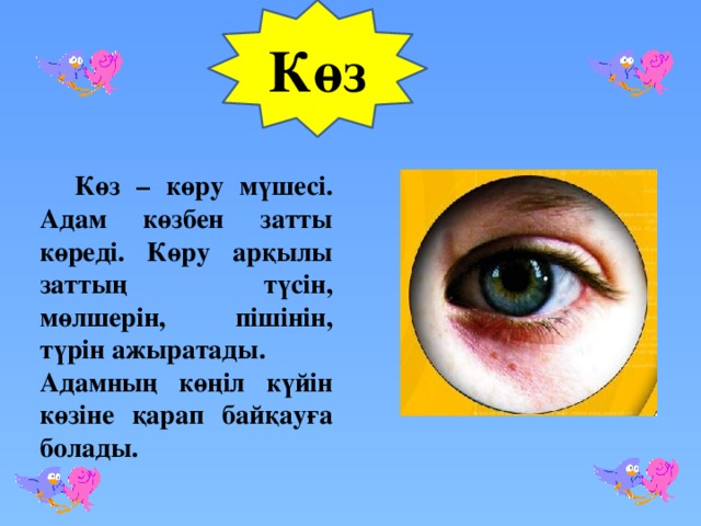 Көз  Көз – көру мүшесі. Адам көзбен затты көреді. Көру арқылы заттың түсін, мөлшерін, пішінін, түрін ажыратады. Адамның көңіл күйін көзіне қарап байқауға болады.